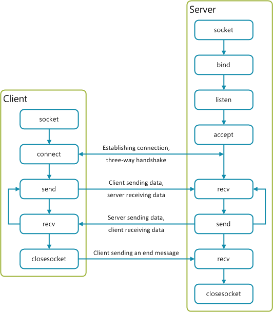 NW_Diagrams.png